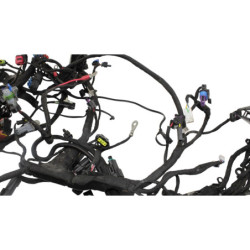 Faisceau électrique HARLEY DAVIDSON ST 1250 PAN AMERICA ABS 2021 à 2024
