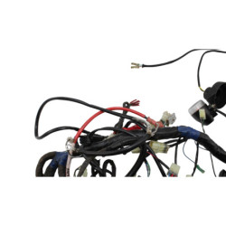 Faisceau électrique TGB BLADE 550 SE 2011 à 2025