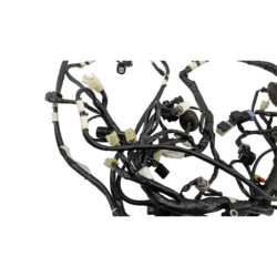 Faisceau électrique YAMAHA YPR 250 XMAX 2010 à 2012