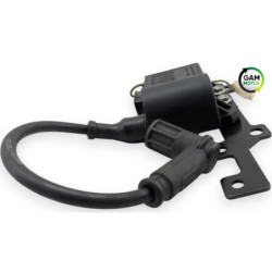 Bobine d'allumage APRILIA RS4 50 2011 à 2017