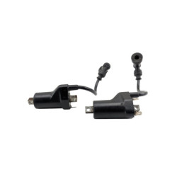 Bobine d'allumage SUZUKI GSE 500 2001 à 2002
