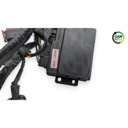 Faisceau électrique KAWASAKI ZRX 1200 S 2001 à 2006