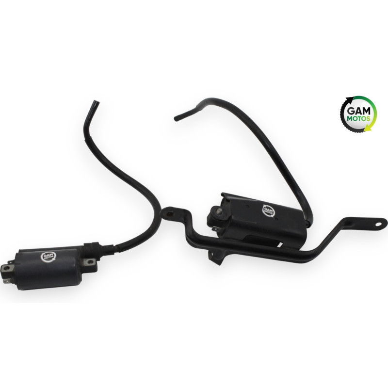 Bobine d'allumage YAMAHA TDM 900 ABS 2002 à 2014