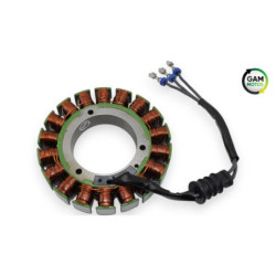 Stator INDIAN SPRINGFIELD 1811 2016 à 2021