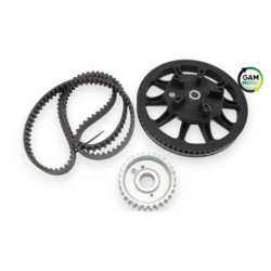Kit chaine INDIAN SPRINGFIELD 1811 2016 à 2021