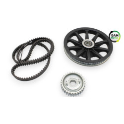 Kit chaine INDIAN SPRINGFIELD 1811 2016 à 2021