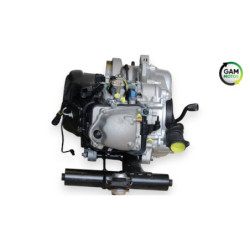 Moteur PIAGGIO VESPA PRIMAVERA 50 2020 à 2023