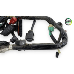 Faisceau électrique SUZUKI SV 650 N 2003 à 2009