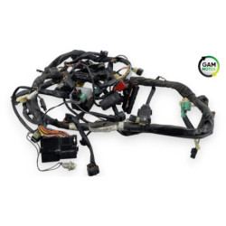 Faisceau électrique SUZUKI SV 650 N 2003 à 2009