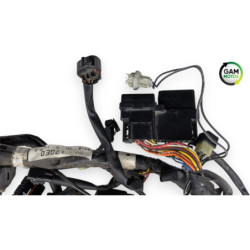 Faisceau électrique SUZUKI SV 650 N 2003 à 2009