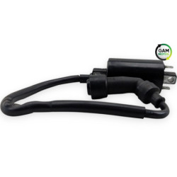 Bobine d'allumage KEEWAY K LIGHT 125 2020 à 2026