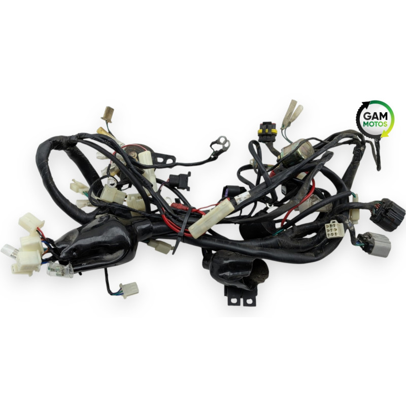 Faisceau électrique UNIVERSAL BIKE TY 50 QT 2020 à 2022