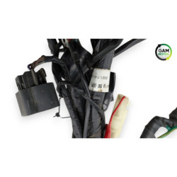 Faisceau électrique UNIVERSAL BIKE TY 50 QT 2020 à 2022