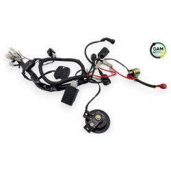 Faisceau électrique ORCAL ASTOR 125 2015 à 2023