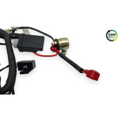 Faisceau électrique ORCAL ASTOR 125 2015 à 2023