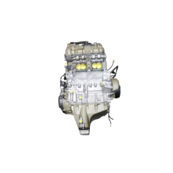 Moteur DUCATI PANIGALE V4 2020 à 2021