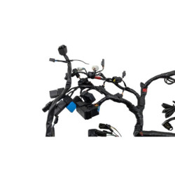 Faisceau électrique TRIUMPH STREET TRIPLE 675 R 2011 à 2012