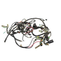Faisceau électrique MASAI A INFINITE 750 2016 à 2019