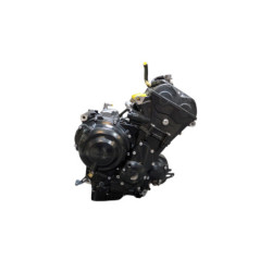 Moteur TRIUMPH STREET TRIPLE 675 R 2011 à 2012