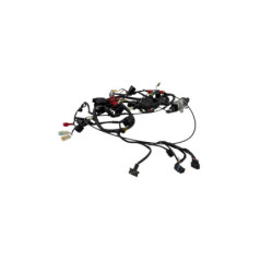Faisceau électrique MOTRON BREEZY 50 2021 à 2026