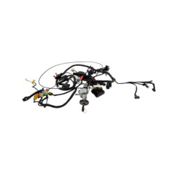 Faisceau électrique MOTRON BREEZY 50 2021 à 2026