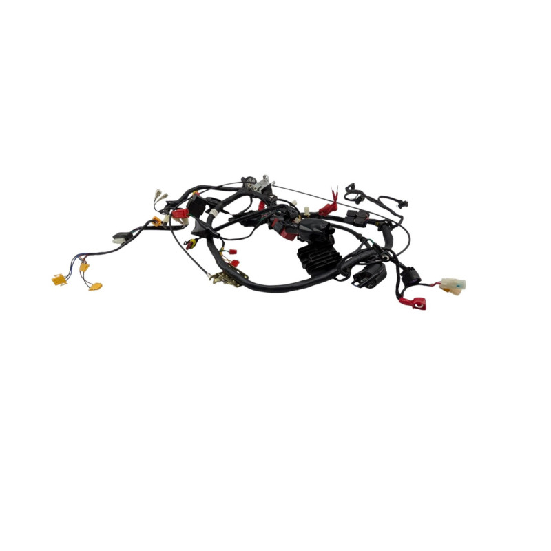 Faisceau électrique MOTRON BREEZY 50 2021 à 2026