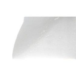 Ecope de radiateur gauche TRIUMPH STREET TRIPLE 675 R 2013 à 2016