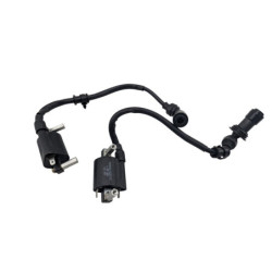 Bobine d'allumage BENELLI BN 125 2022 à 2024