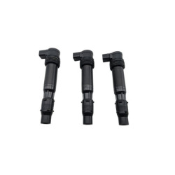 Bobine d'allumage TRIUMPH STREET TRIPLE 765 RS ABS 2023 à 2024
