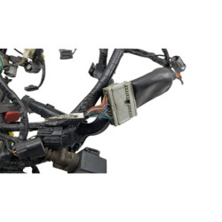 Faisceau électrique HONDA CBR 1000 RR FIREBLADE 2006 à 2007