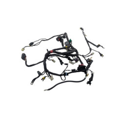 Faisceau électrique DUCATI MONSTER 796 2010 à 2014